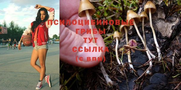 каннабис Алексеевка