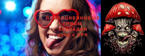 прущий лед Алзамай