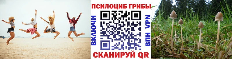 Псилоцибиновые грибы GOLDEN TEACHER  kraken сайт  Спасск 